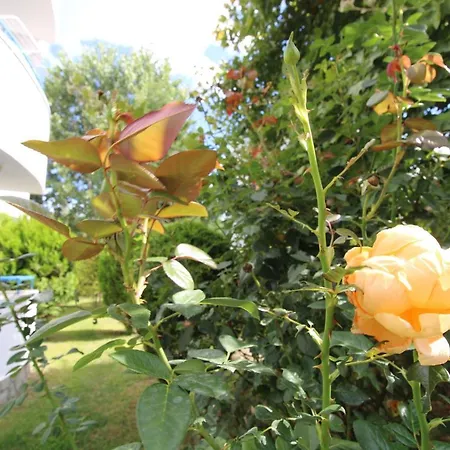 Appartement Nautilius Club - Menada *